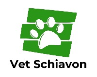 Vet Shiavon - Em domicílio