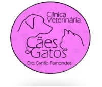 Clínica Cães & Gatos 